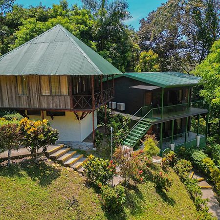 Hotel Tabulia Tree Manuel Antonio Exterior foto