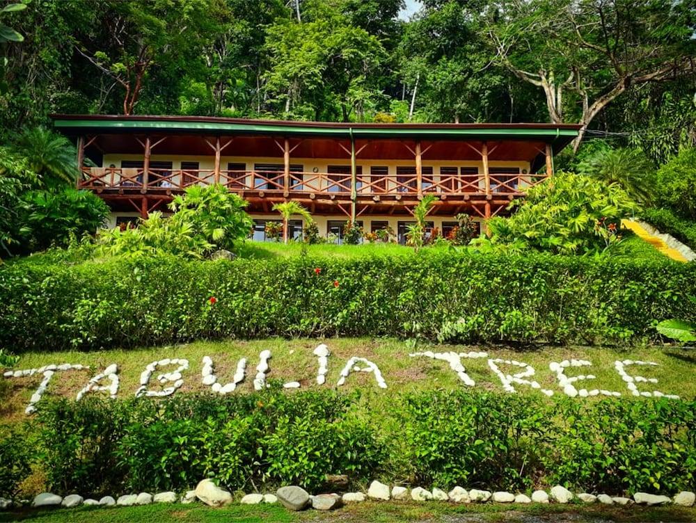 Hotel Tabulia Tree Manuel Antonio Exterior foto
