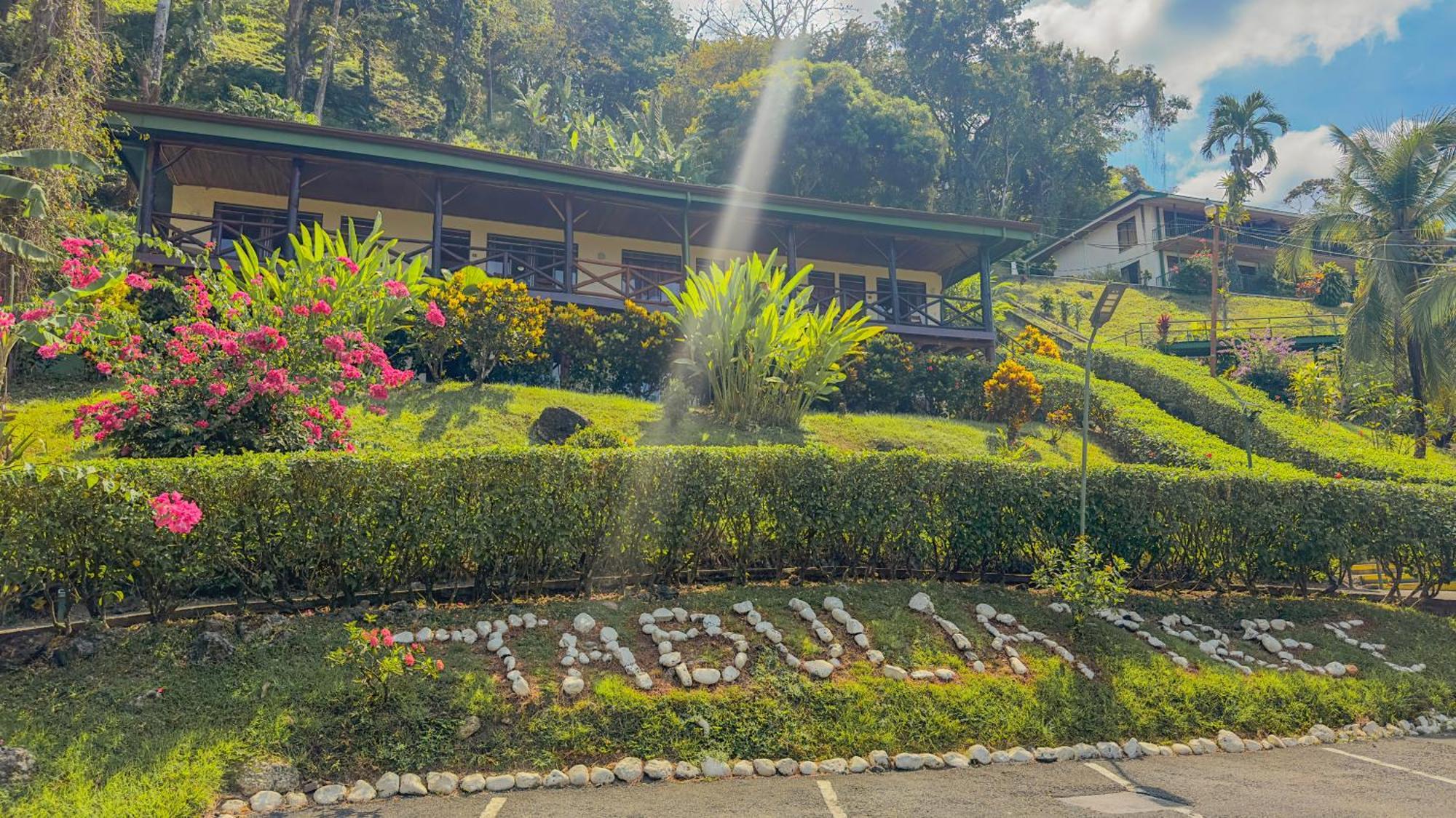 Hotel Tabulia Tree Manuel Antonio Exterior foto