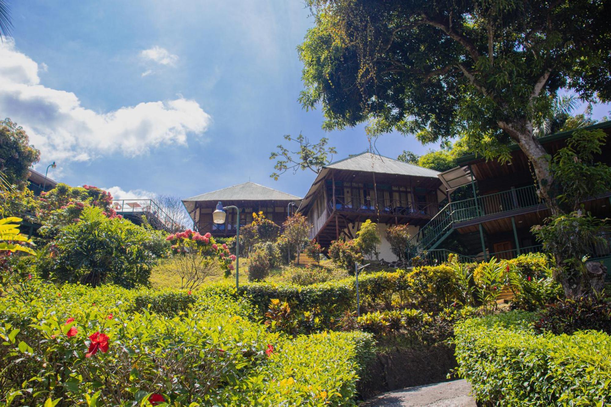 Hotel Tabulia Tree Manuel Antonio Exterior foto