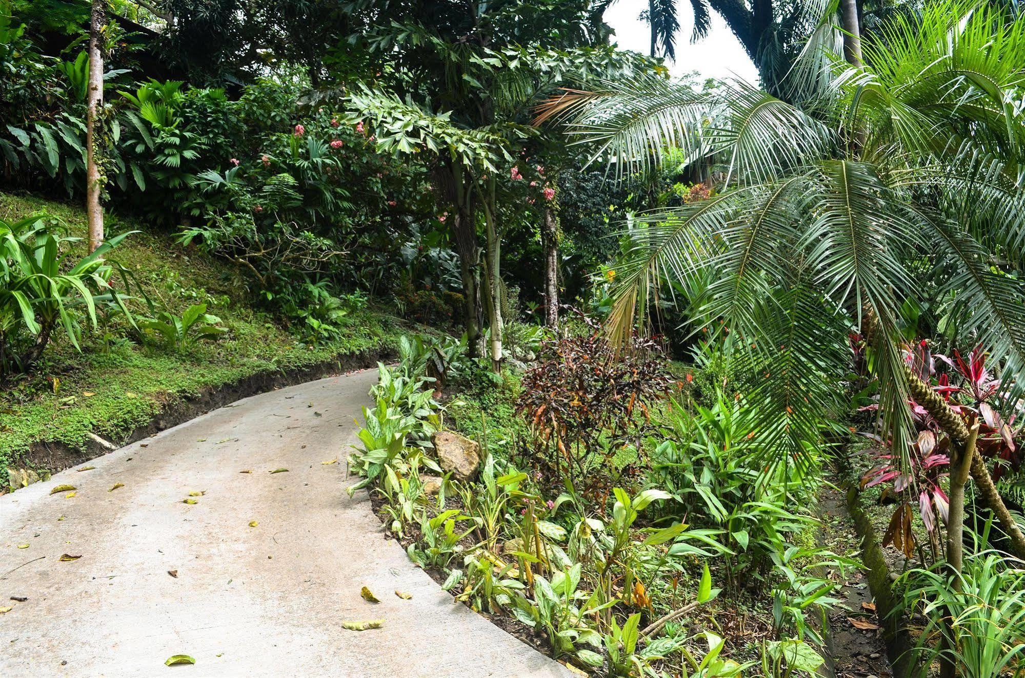 Hotel Tabulia Tree Manuel Antonio Exterior foto