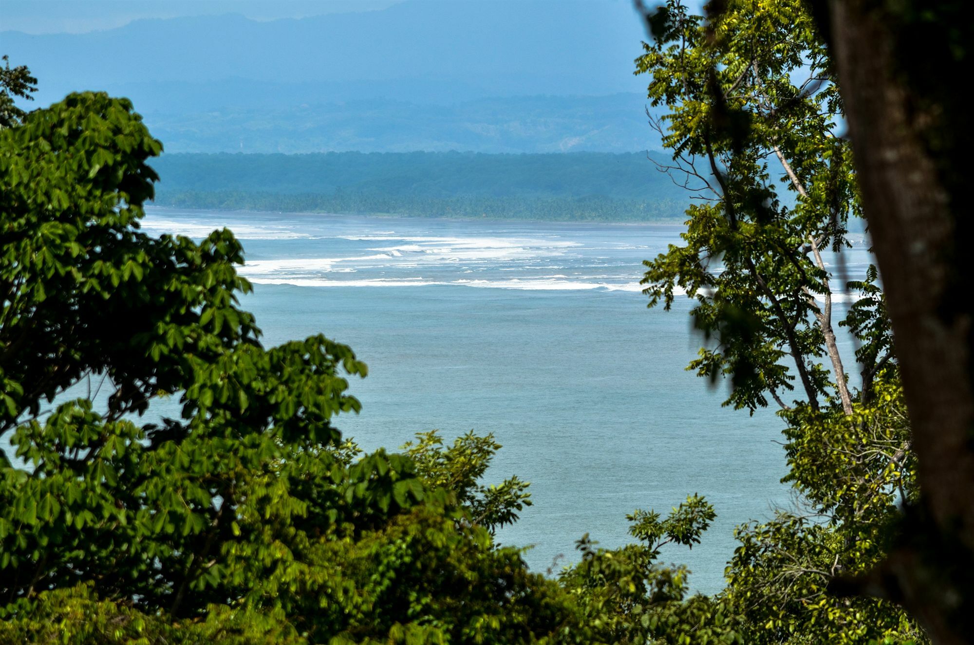 Hotel Tabulia Tree Manuel Antonio Exterior foto